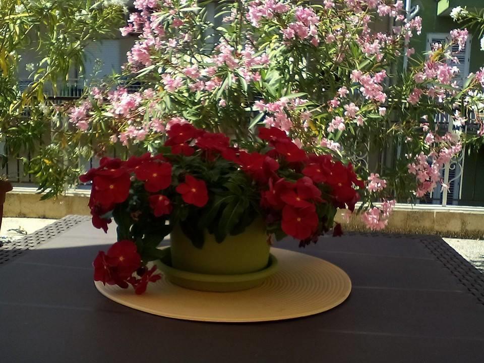 Apartmán Il Terrazzo Di Oleandri Bagheria Pokoj fotografie